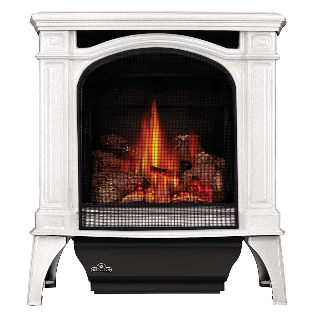 Napoleon GDS25-1 Bayfield Direct Vent Cast Iron Gas Stove