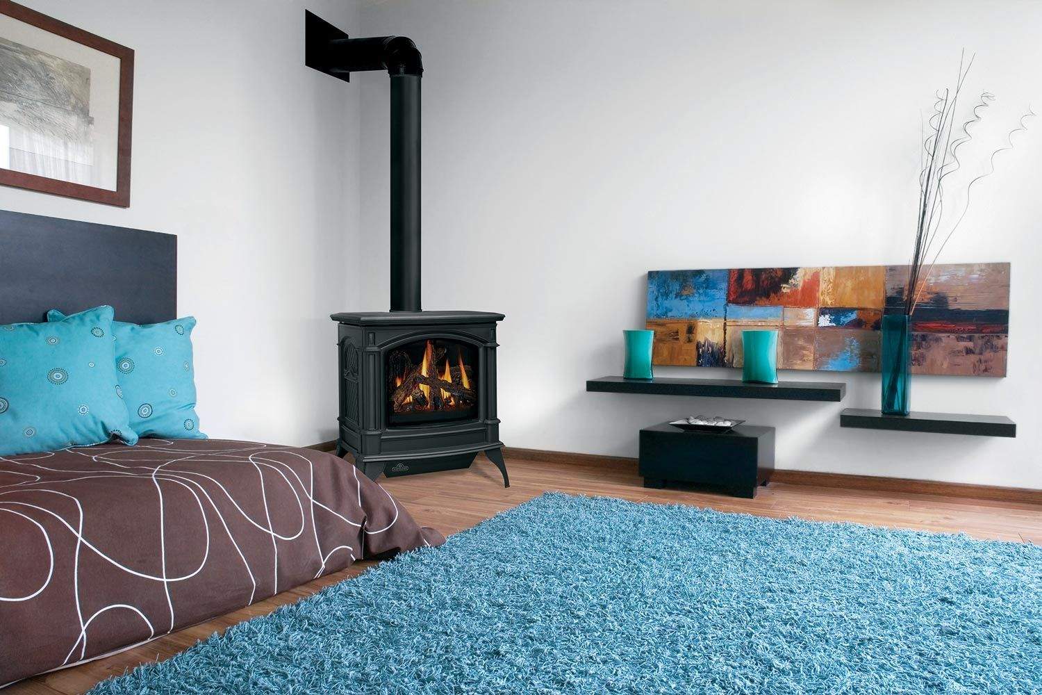 Napoleon Knightsbridge Direct Vent Cast Iron Gas Stove