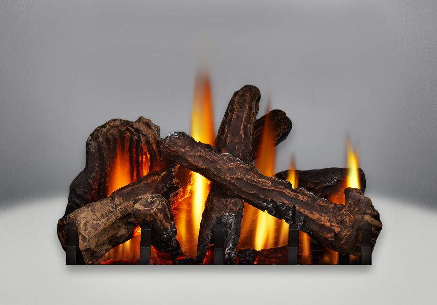 Napoleon Knightsbridge Direct Vent Cast Iron Gas Stove