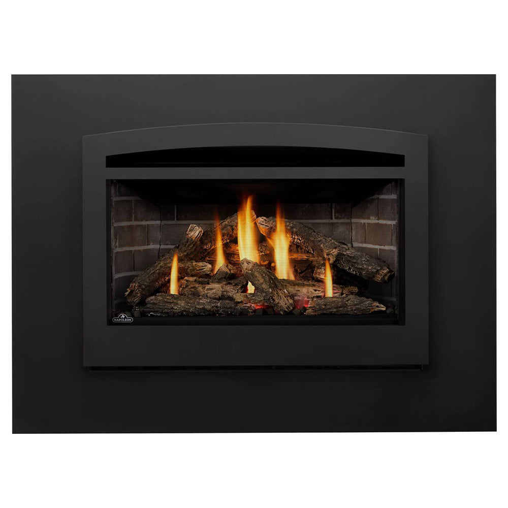 Napoleon Rosedale Direct Vent Gas Insert Fireplace – Fireplaces Direct
