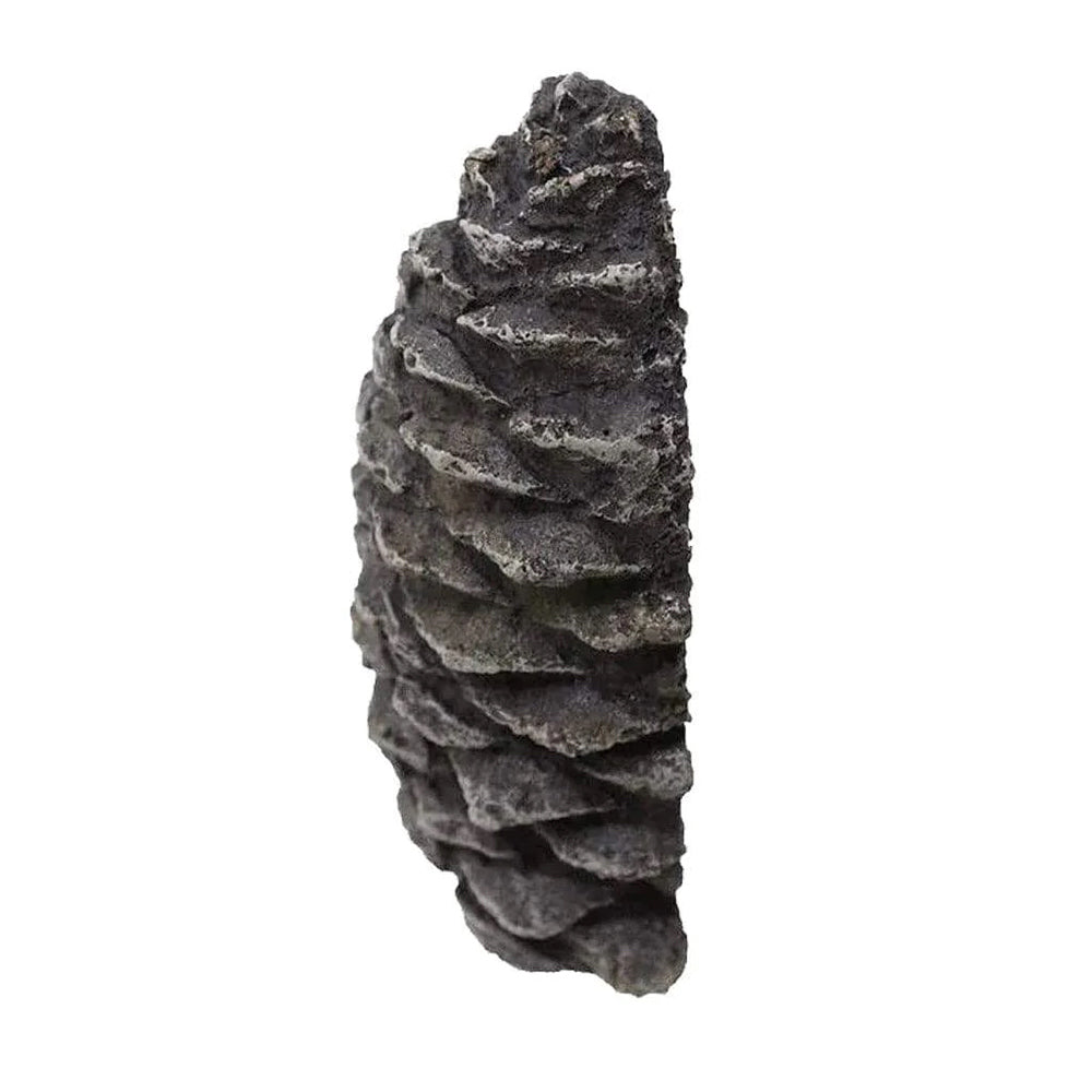 Decorative pine cone valve concealer, dark gray textured flat piece
