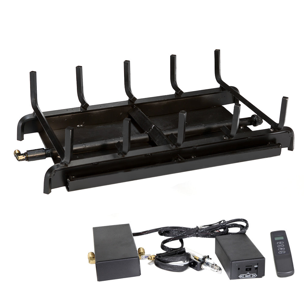 Two-burner outdoor gas grill system with black frame, electronic control box, and remote