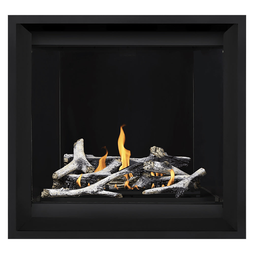 Napoleon Altitude X Series Electronic Ignition 36-Inch Direct Vent Gas Fireplace