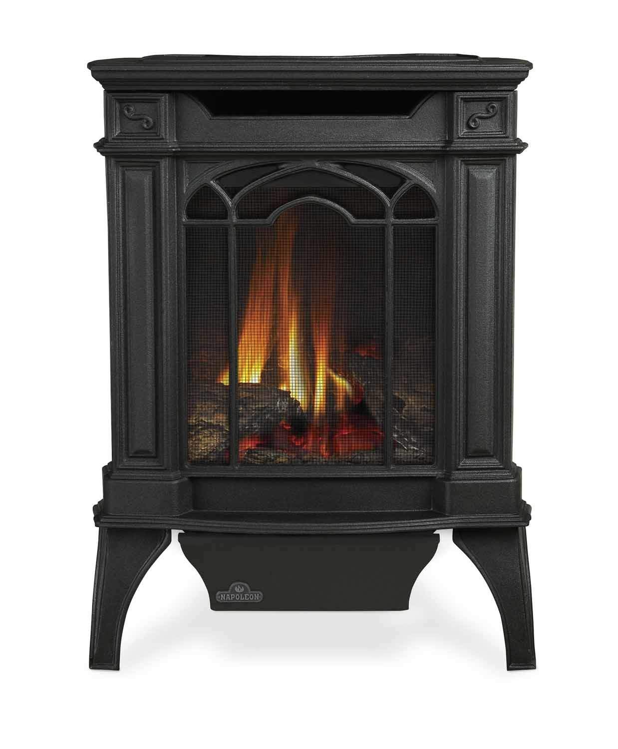 Napoleon Arlington Direct Vent Cast Iron Gas Stove – Fireplaces Direct