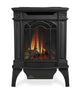 Napoleon GDS20E Arlington Electronic Ignition Direct Vent Cast Iron Stove