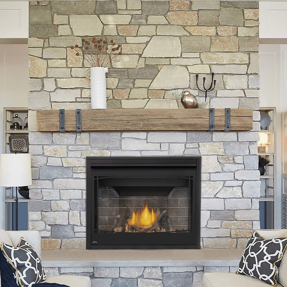 Napoleon BX42TRE Ascent X Series Electronic Ignition Direct Vent Gas Fireplace