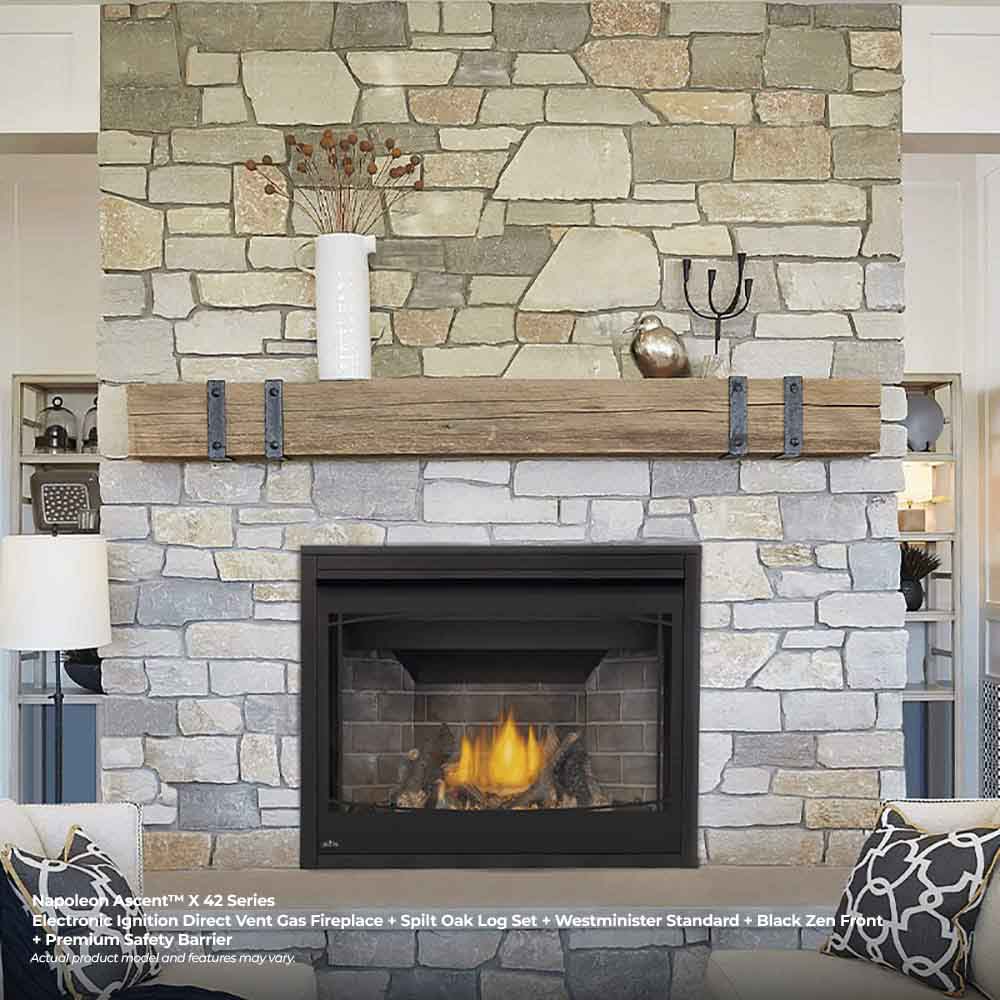 Napoleon BX42TRE Ascent X Series Electronic Ignition Direct Vent Gas Fireplace