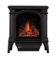Napoleon GDS25-1 Bayfield Direct Vent Cast Iron Gas Stove