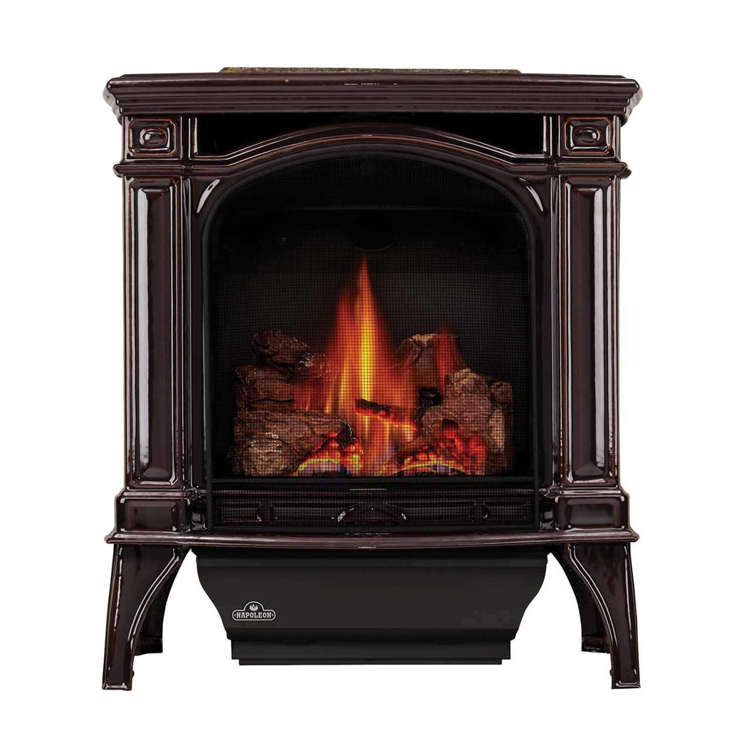 Napoleon GDS25-1 Bayfield Direct Vent Cast Iron Gas Stove