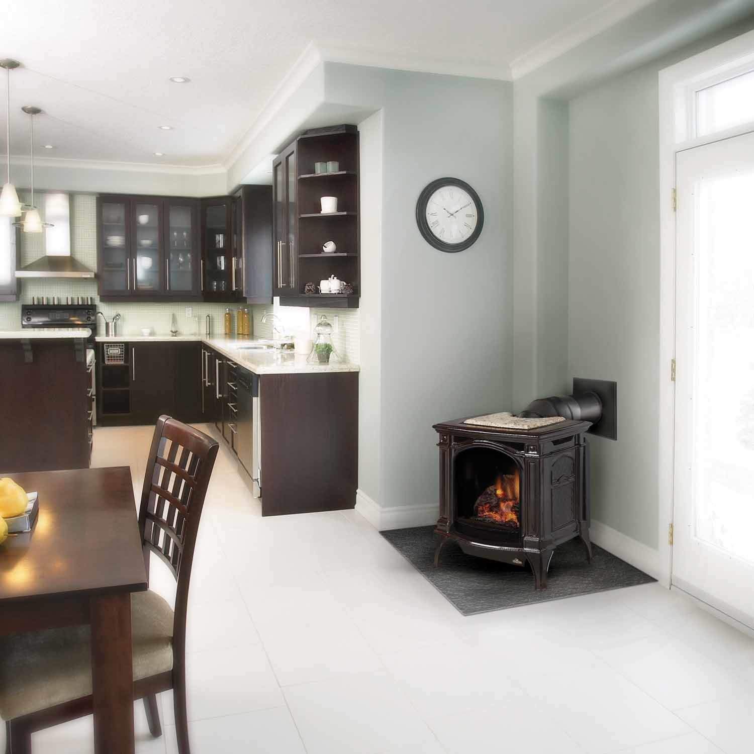 Napoleon GDS25-1 Bayfield Direct Vent Cast Iron Gas Stove