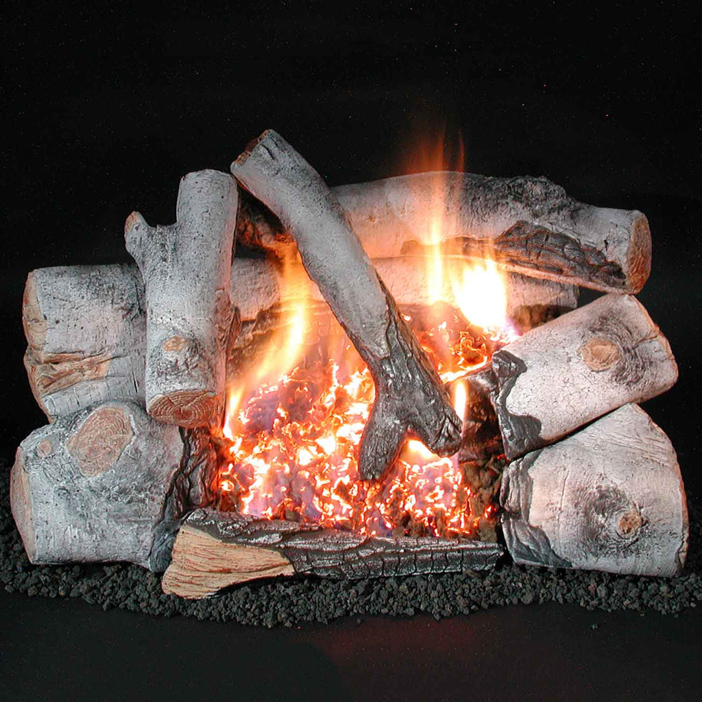 Ventless gas double burner with burning birch logs and glowing embers