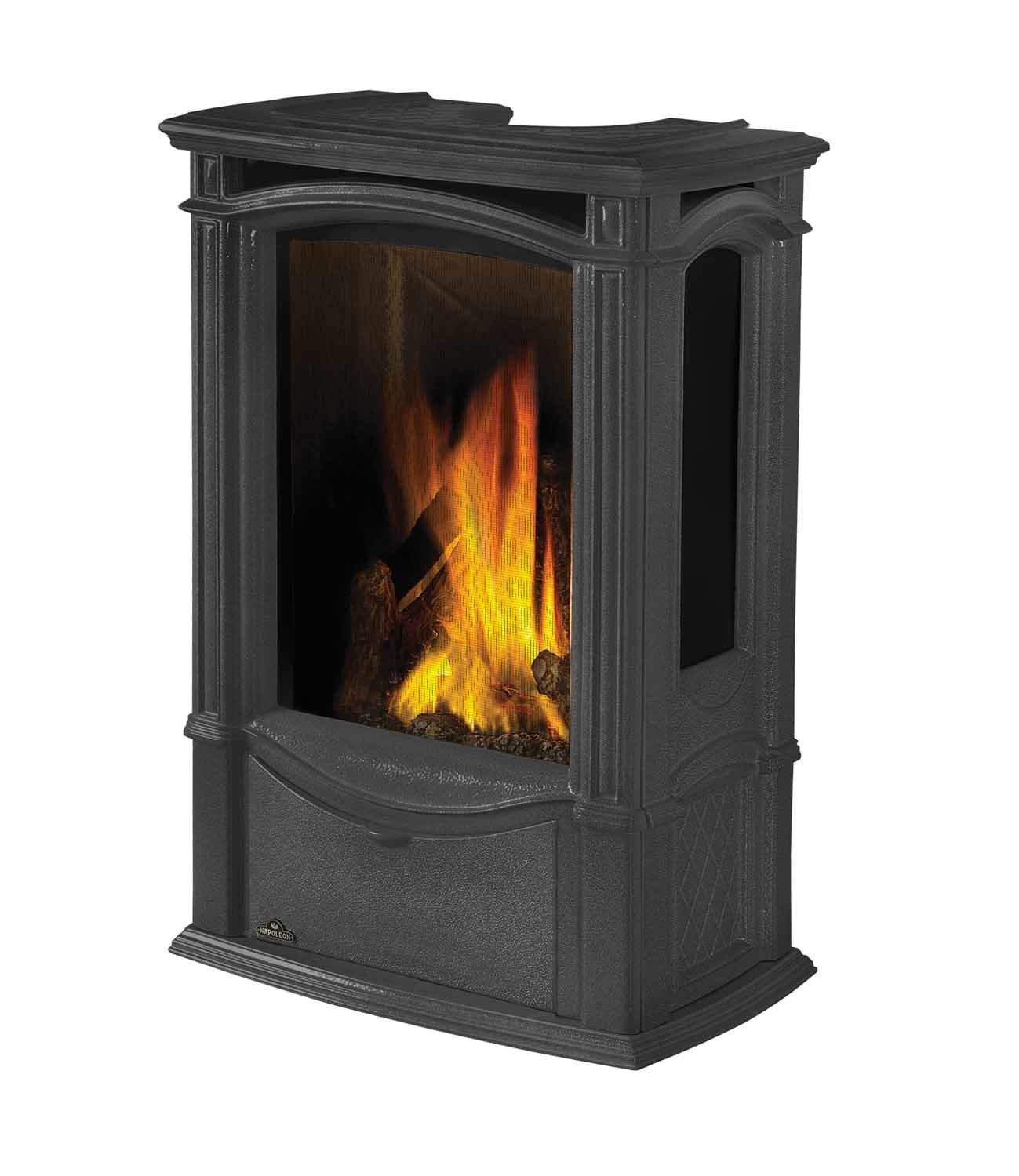 Napoleon Castlemore Direct Vent Cast Iron Gas Stove – Fireplaces