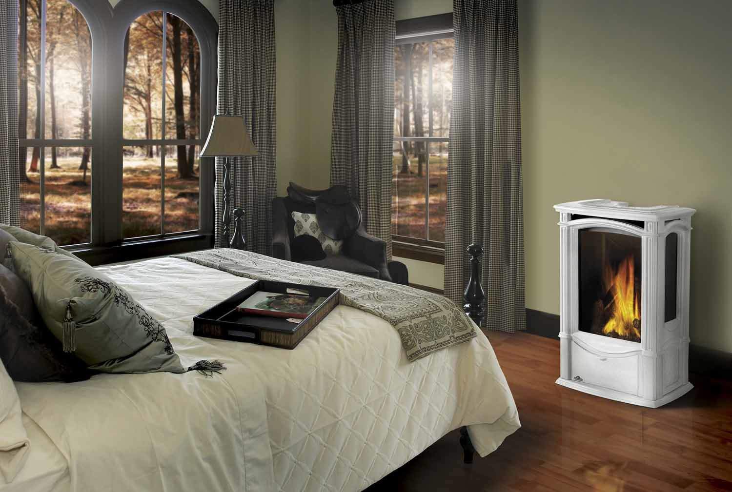 Napoleon Castlemore Direct Vent Cast Iron Gas Stove