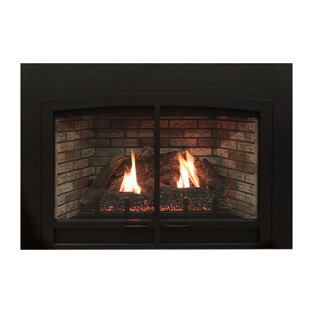 Black direct-vent gas fireplace insert front with two flames behind glass