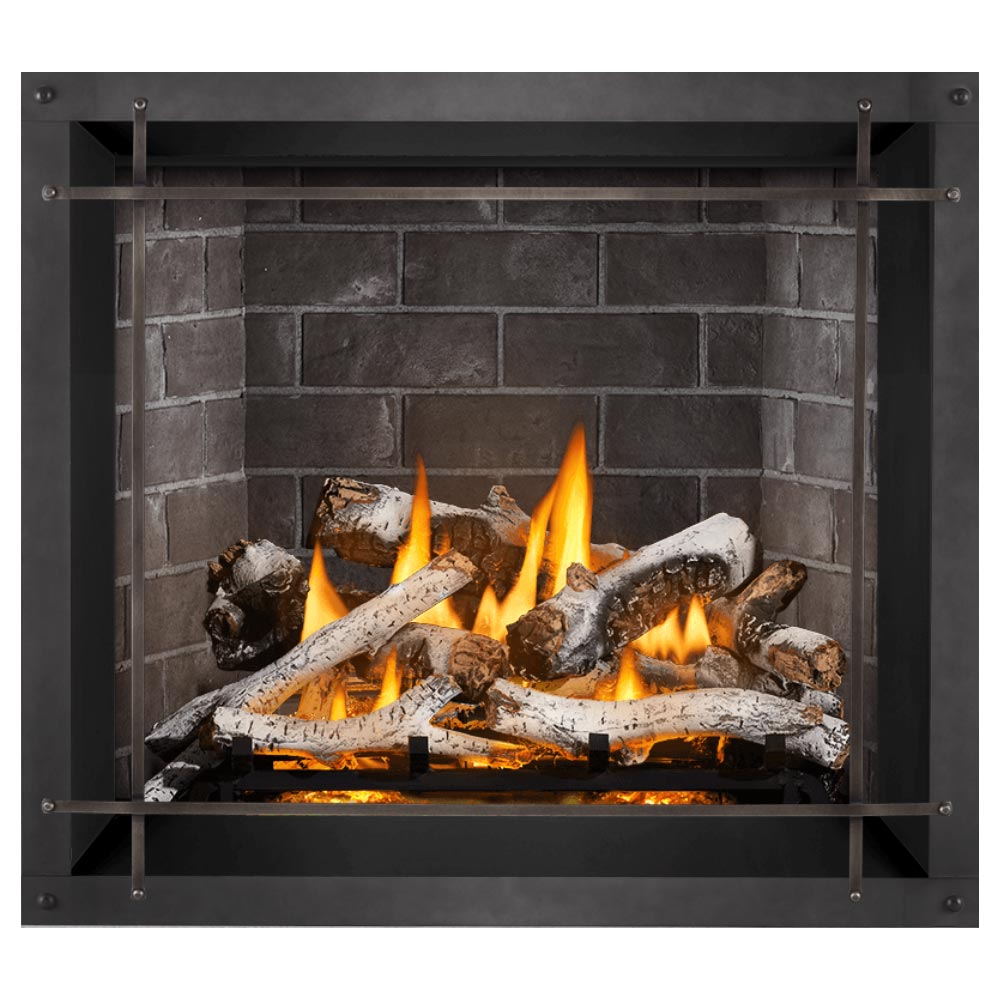 Napoleon Elevation X Series EI 42in DV Gas Fireplace – Fireplaces