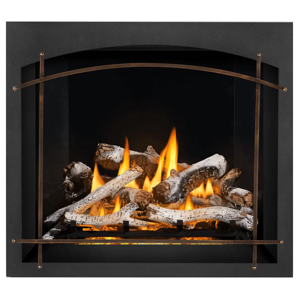 Napoleon EX42xTEL Elevation X Series Electronic Ignition 42-Inch Direct Vent Gas Fireplace