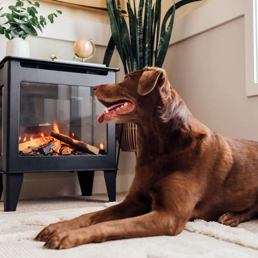 Freestanding electric stove with glass front showing orange flame effect and logs