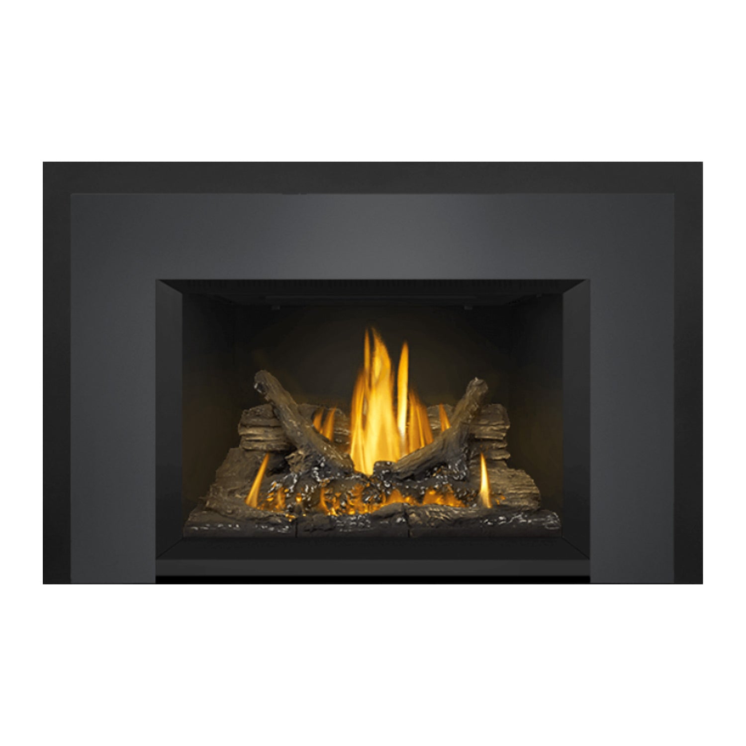 Gas fireplace insert featuring burning logs with visible flames inside the black frame
