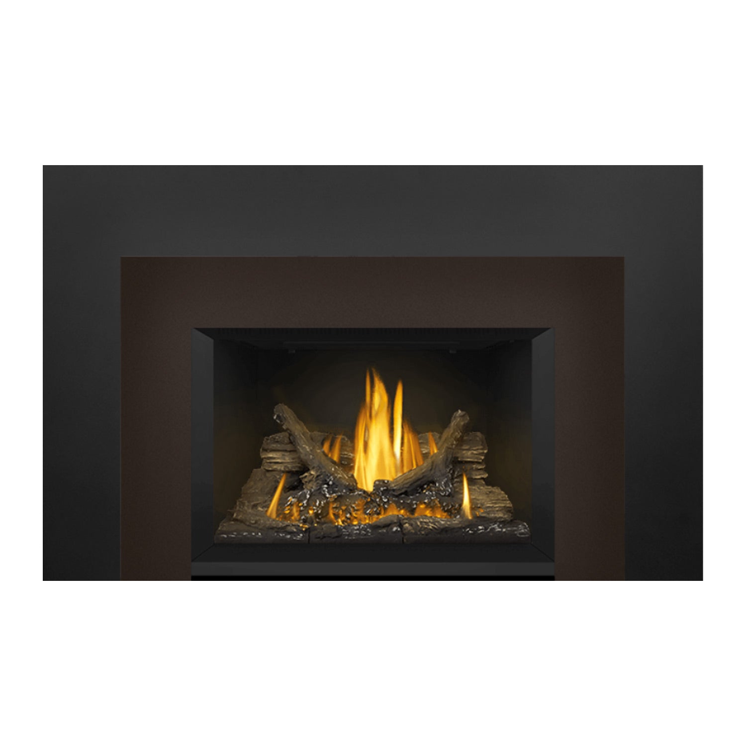 Gas fireplace insert featuring dark surround and glowing flames in a log-and-ember bed