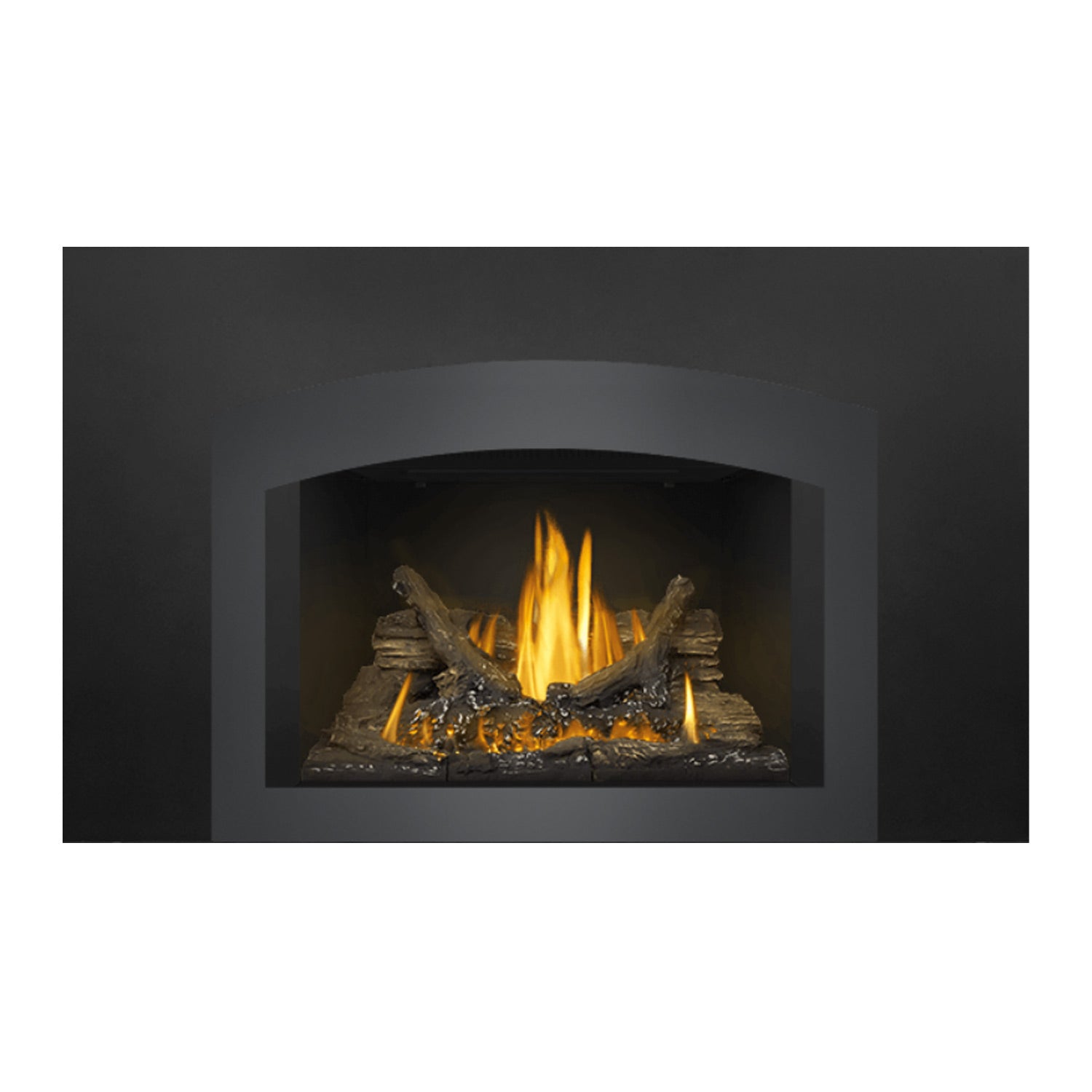 Napoleon Oakville Series EI Direct Vent Gas Fireplace Insert