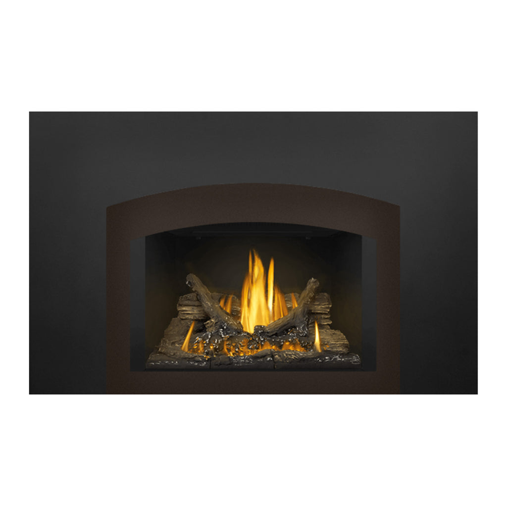 Direct vent gas fireplace insert showing a burning log bed behind arched glass.