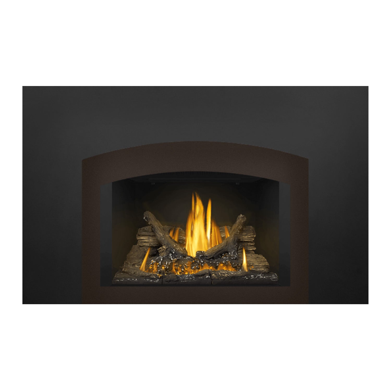 Direct vent gas fireplace insert showing a burning log bed behind arched glass.
