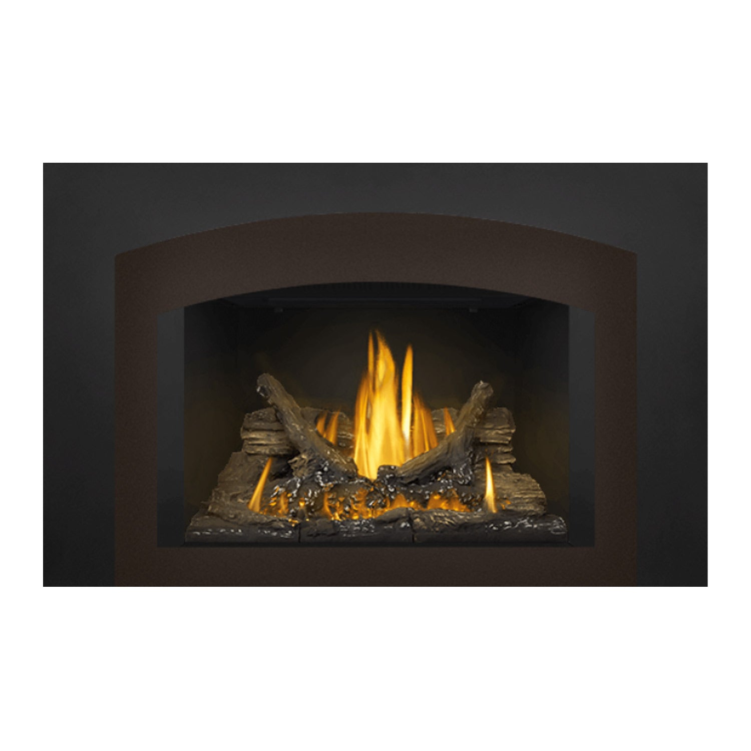 Direct vent gas fireplace insert with arched glass front, burning logs and glowing embers.