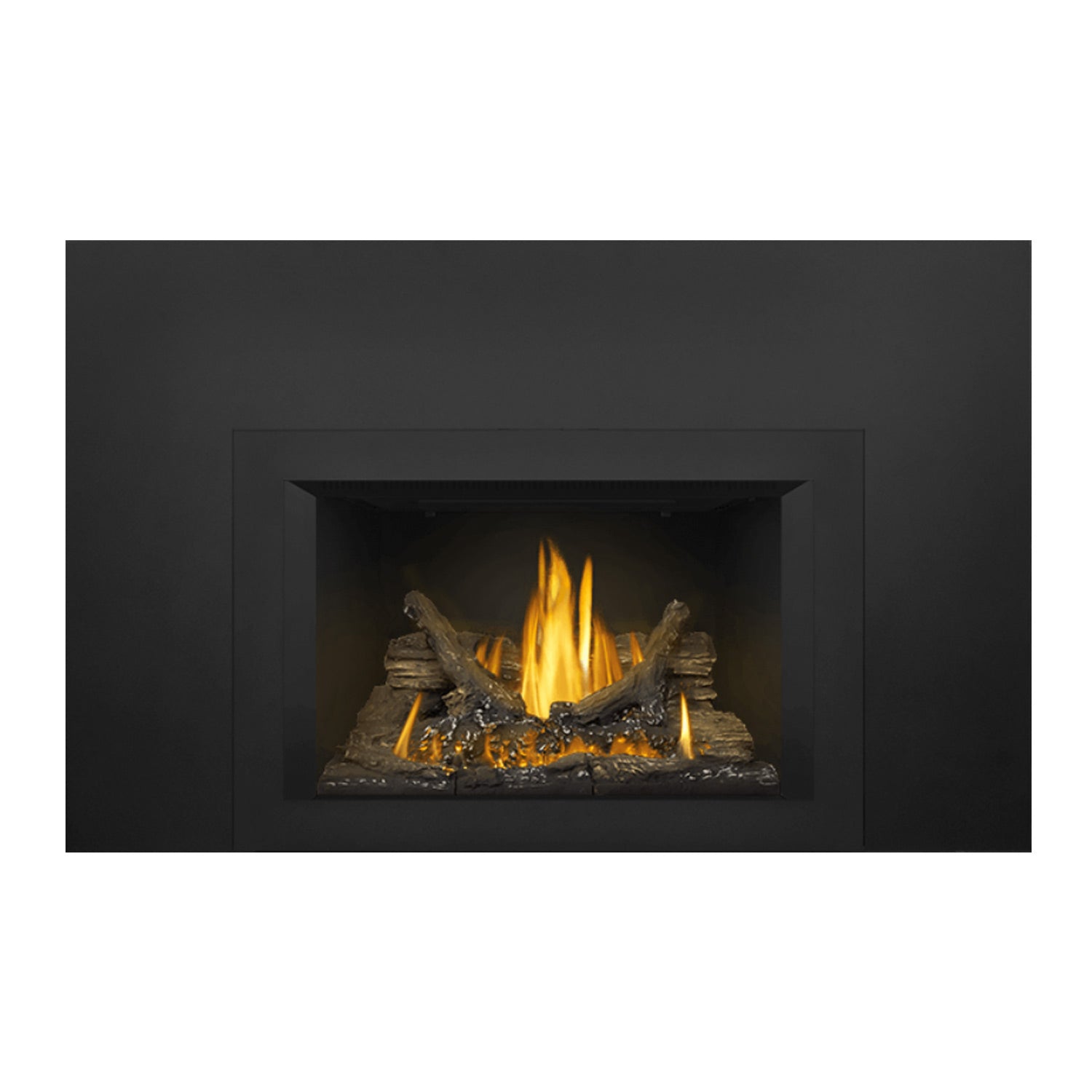 Gas fireplace insert showing flame tips above dark logs and ember bed within the frame