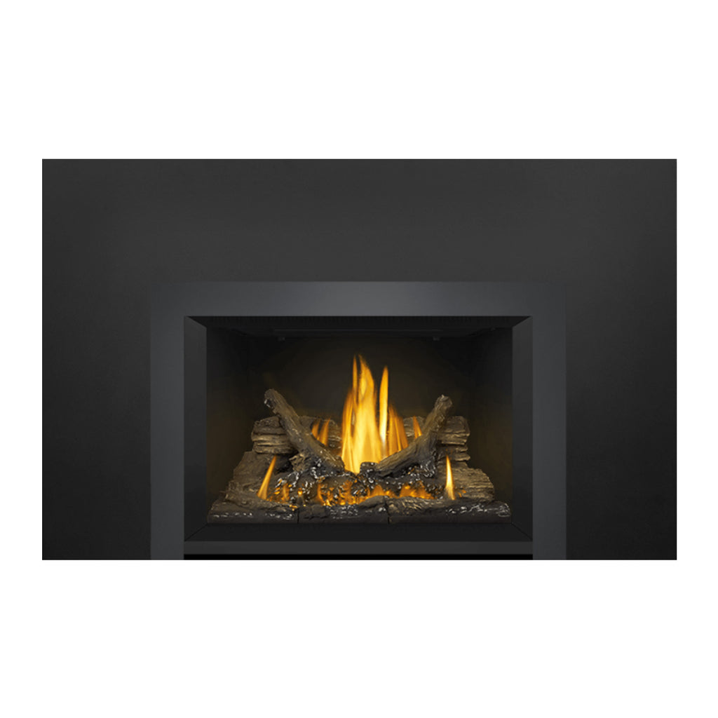 Gas fireplace insert with centered flame display over dark logs and glowing embers