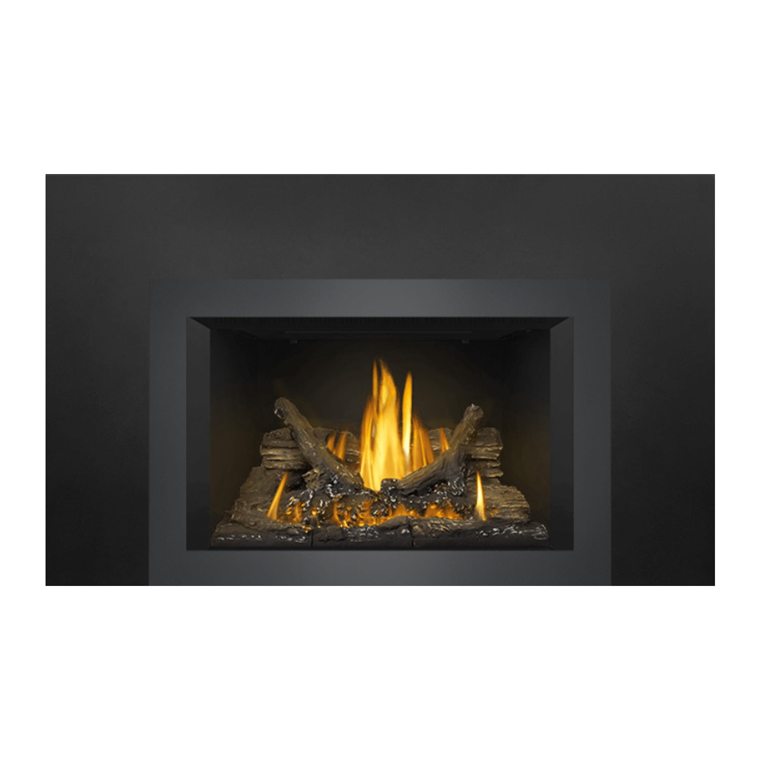 Napoleon Oakville Series EI Direct Vent Gas Fireplace Insert