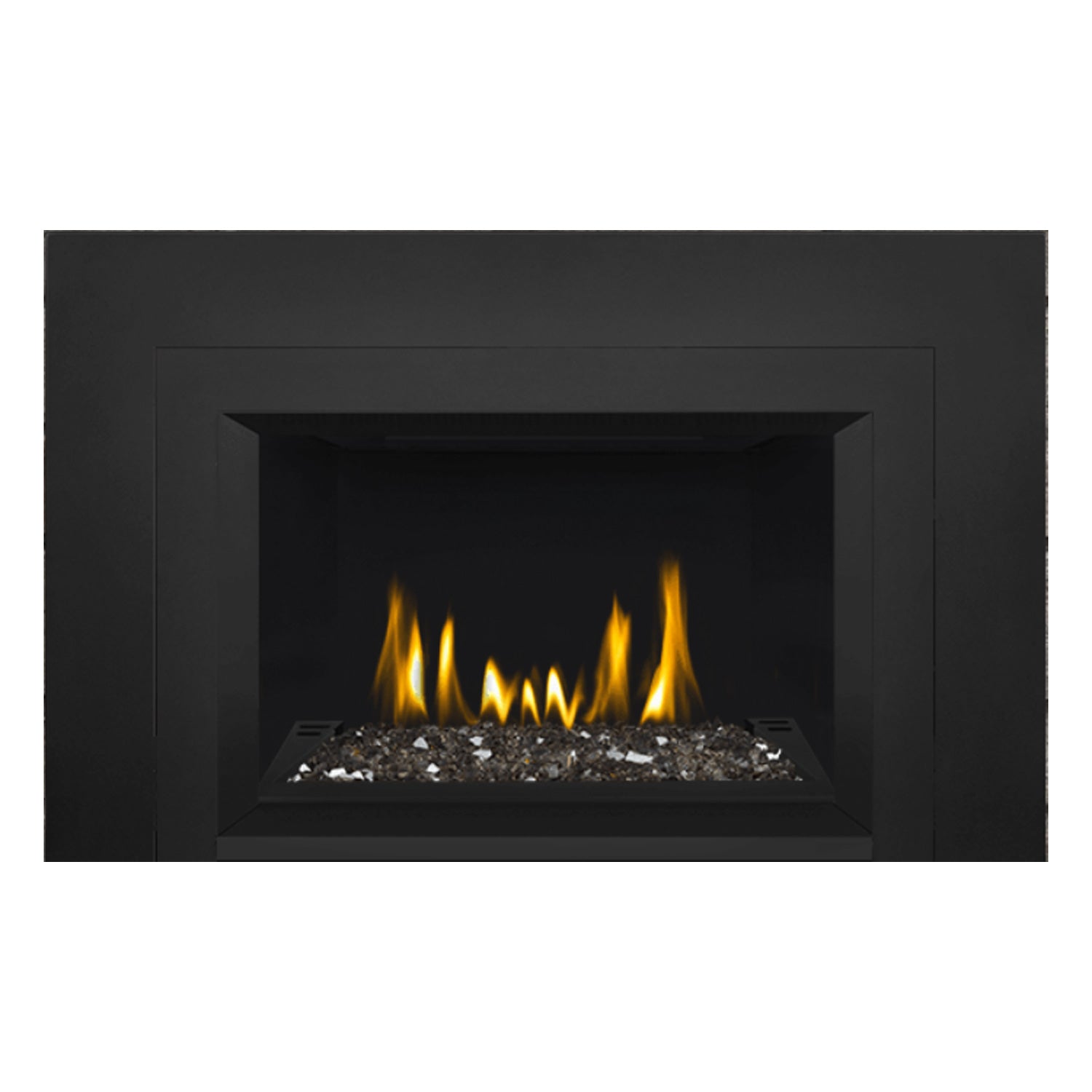 Napoleon Oakville Series EI DV Gas Fireplace Insert w/ Glass