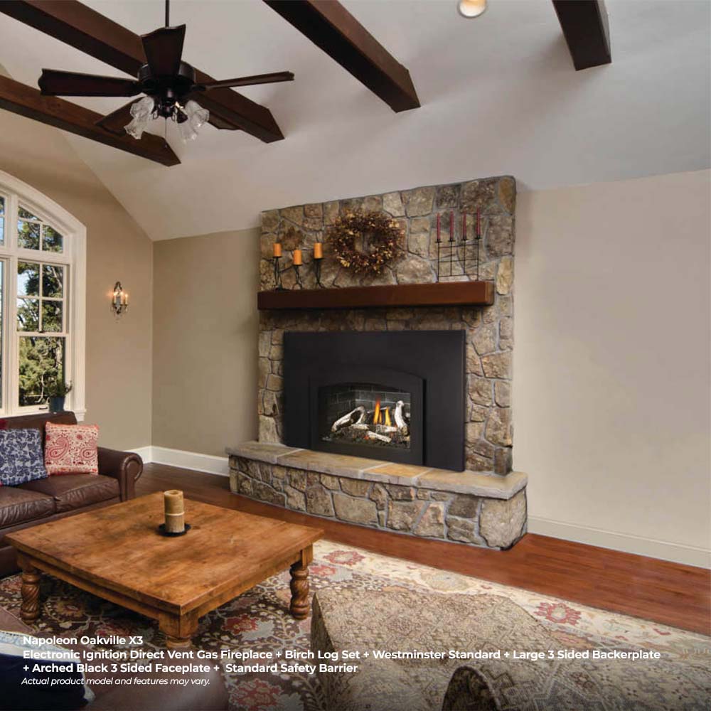 Napoleon Oakville Series EI Direct Vent Gas Fireplace Insert