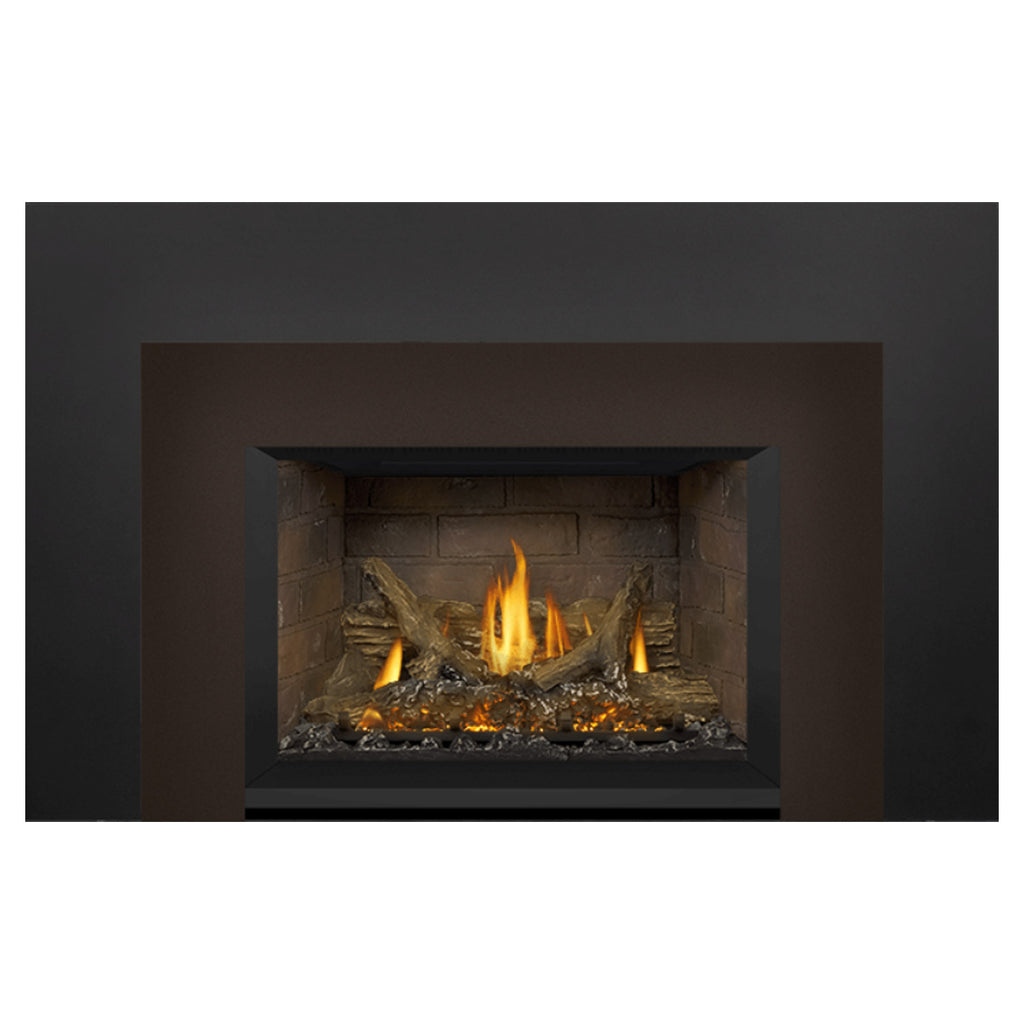 Napoleon GDIX3N-1 Oakville Series Electronic Ignition Direct Vent Gas Fireplace Insert