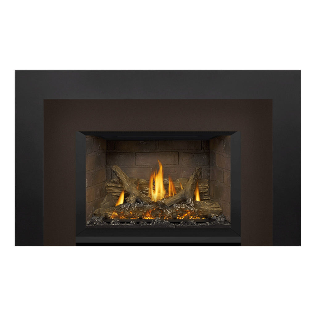 Napoleon GDIX3N-1 Oakville Series Electronic Ignition Direct Vent Gas Fireplace Insert