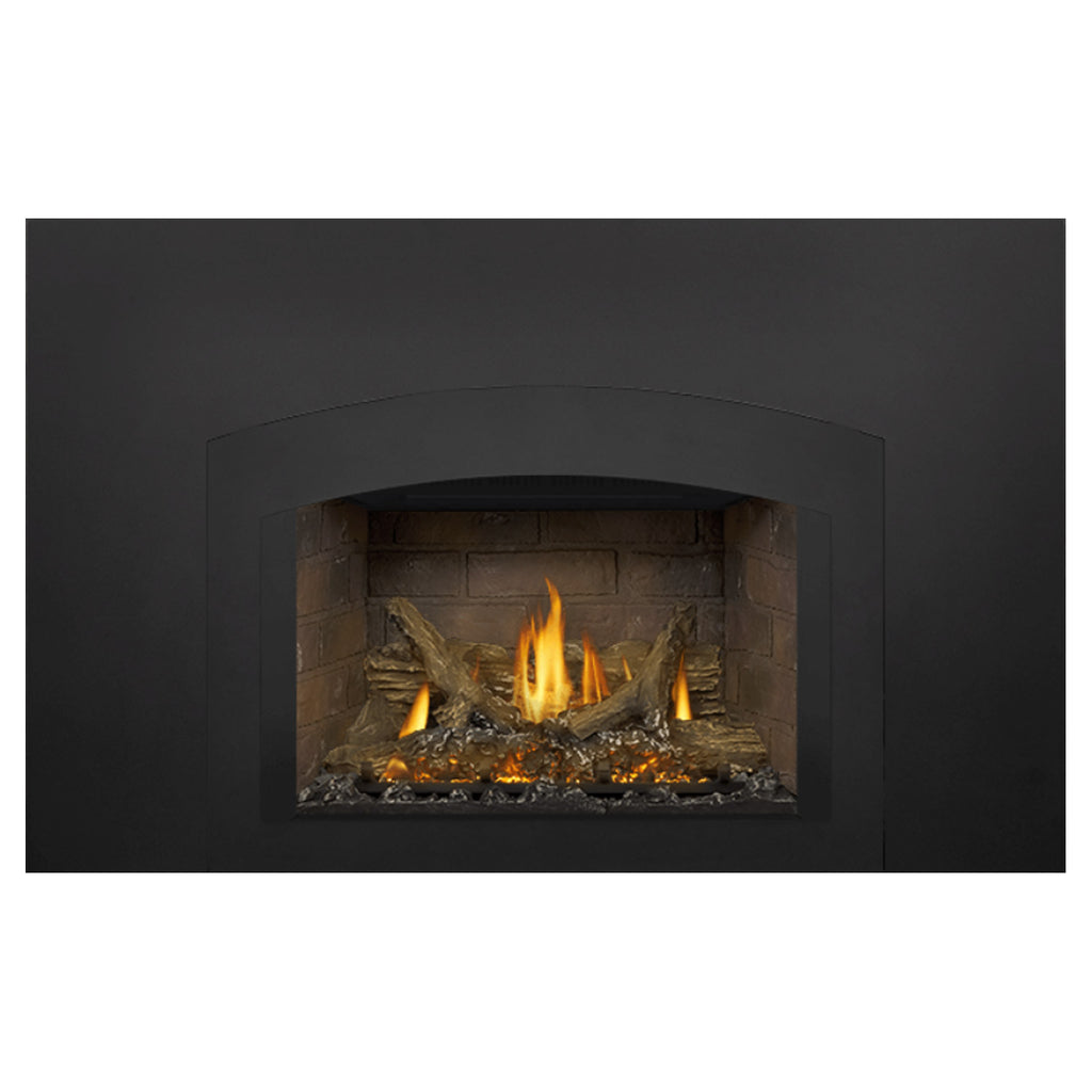 Napoleon GDIX3N-1 Oakville Series Electronic Ignition Direct Vent Gas Fireplace Insert