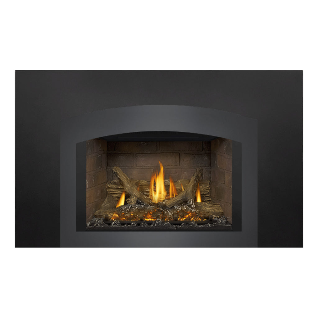 Napoleon GDIX3N-1 Oakville Series Electronic Ignition Direct Vent Gas Fireplace Insert