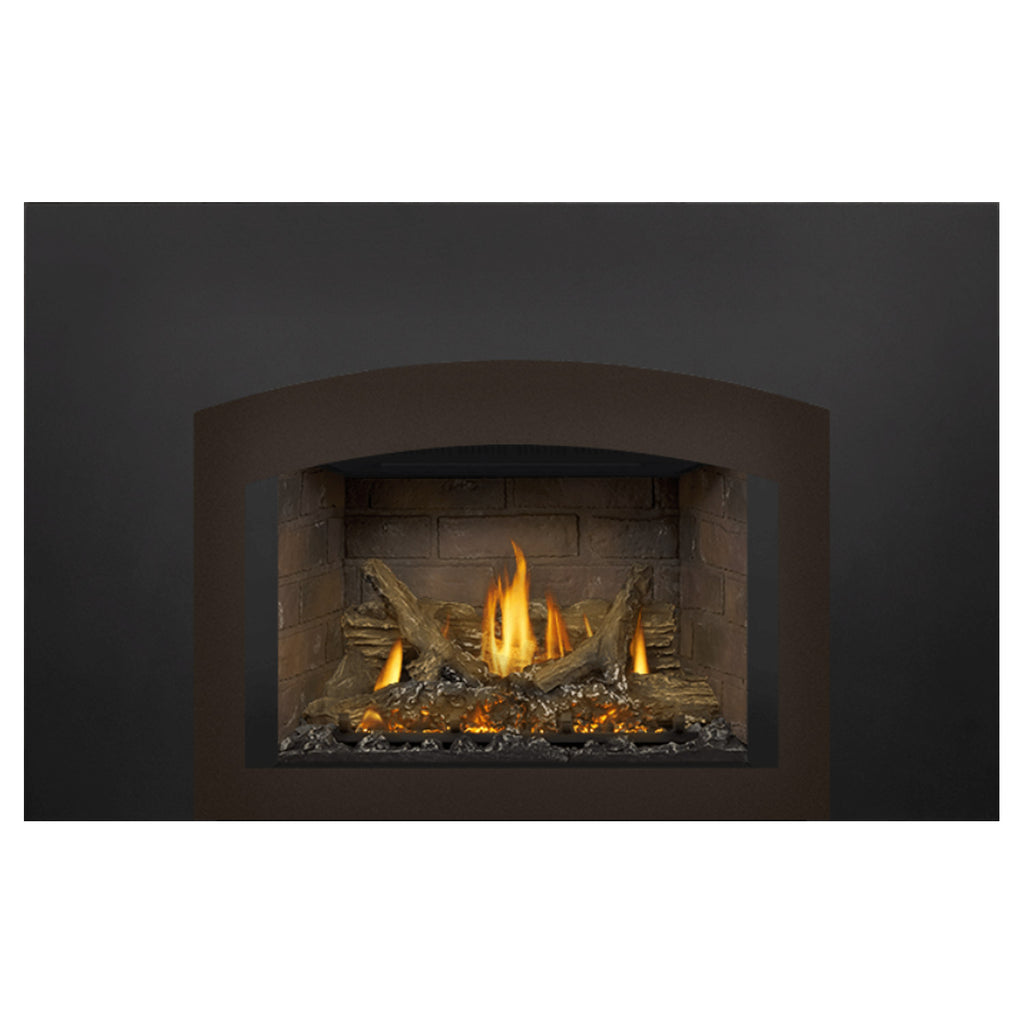 Napoleon GDIX3N-1 Oakville Series Electronic Ignition Direct Vent Gas Fireplace Insert
