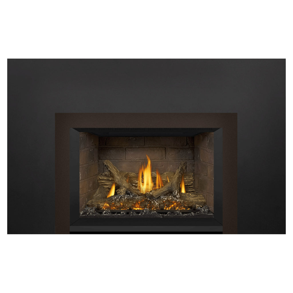 Napoleon GDIX3N-1 Oakville Series Electronic Ignition Direct Vent Gas Fireplace Insert