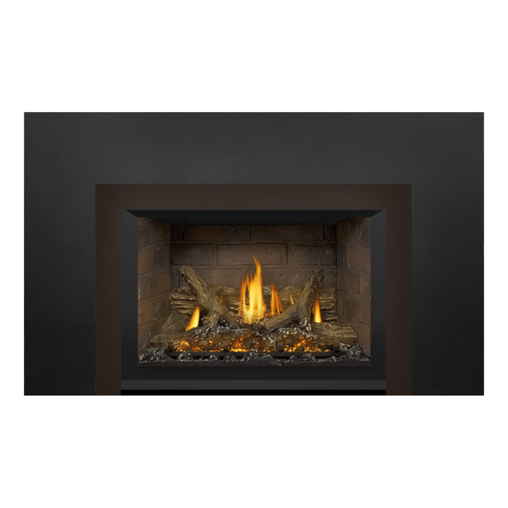 Napoleon GDIX3N-1 Oakville Series Electronic Ignition Direct Vent Gas Fireplace Insert