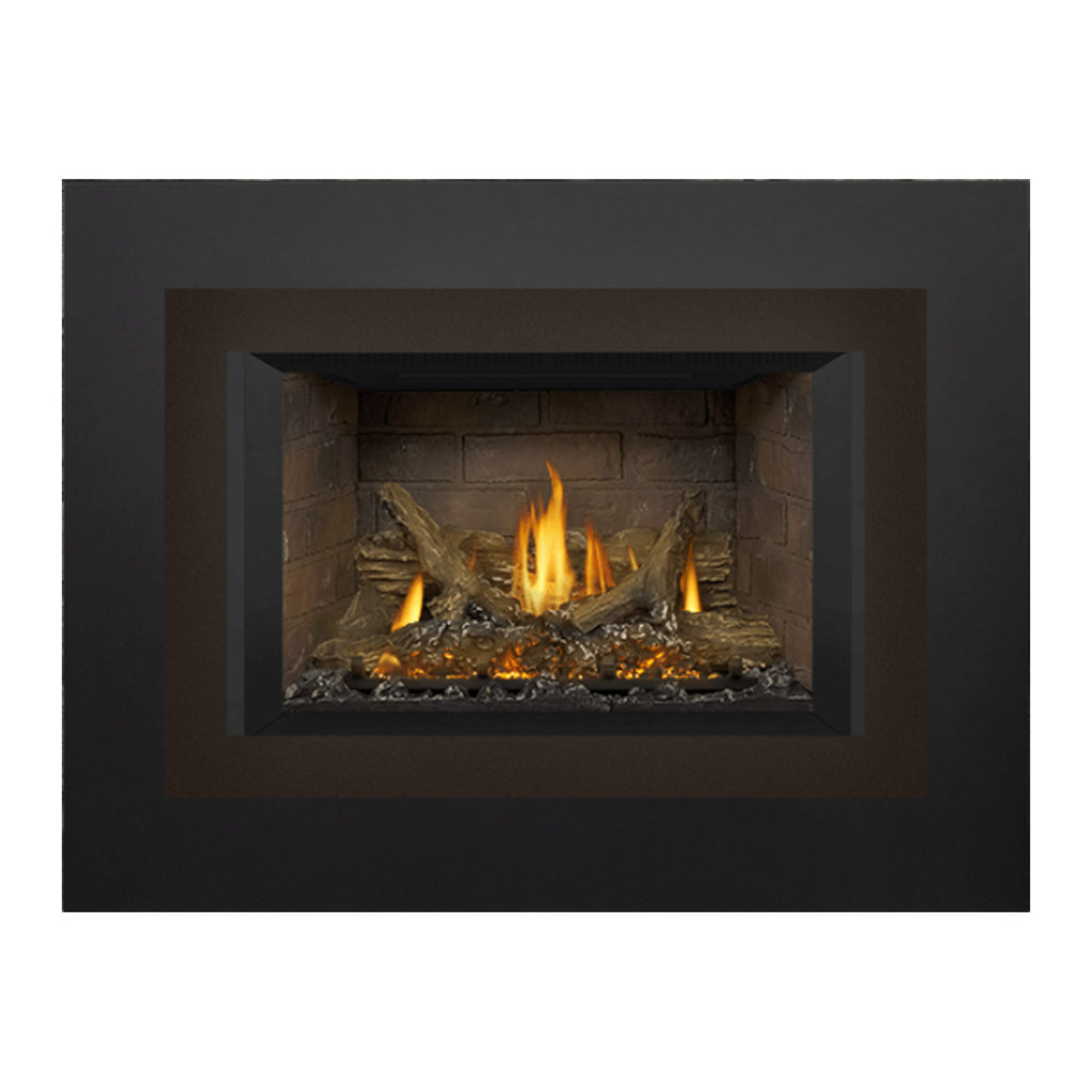 Napoleon GDIX3N-1 Oakville Series Electronic Ignition Direct Vent Gas Fireplace Insert