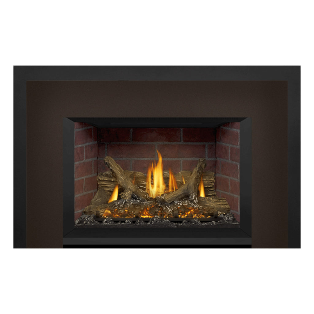 Napoleon GDIX3N-1 Oakville Series Electronic Ignition Direct Vent Gas Fireplace Insert