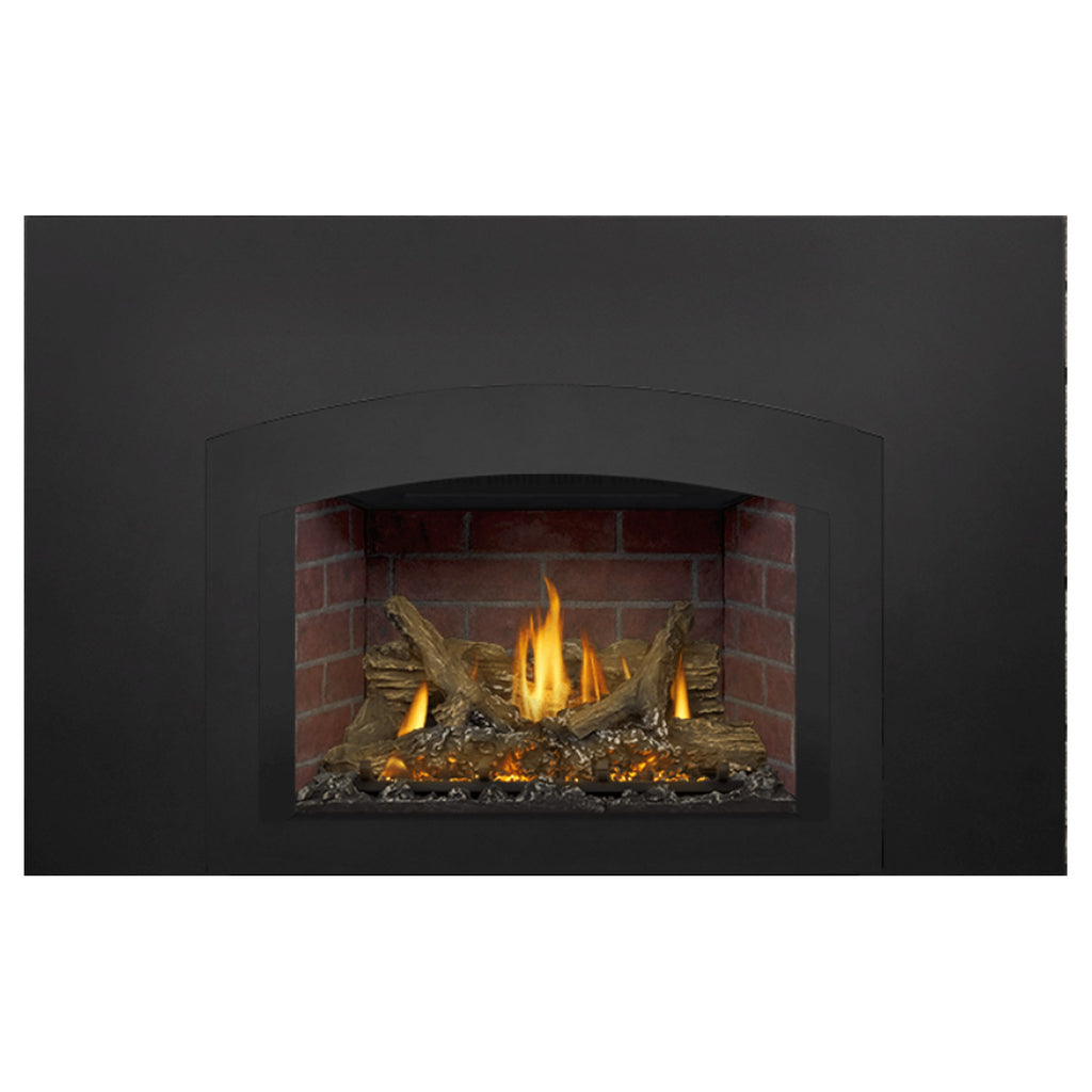 Napoleon GDIX3N-1 Oakville Series Electronic Ignition Direct Vent Gas Fireplace Insert