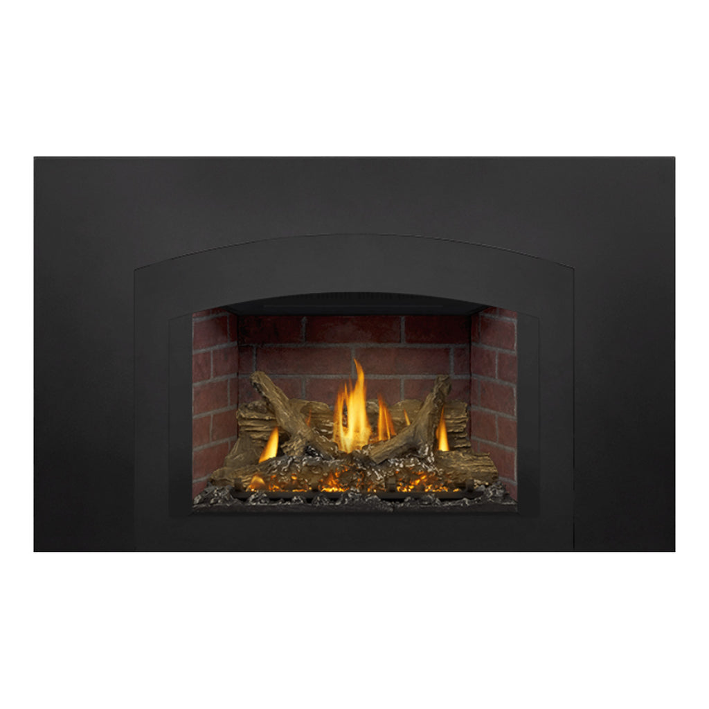 Napoleon GDIX3N-1 Oakville Series Electronic Ignition Direct Vent Gas Fireplace Insert