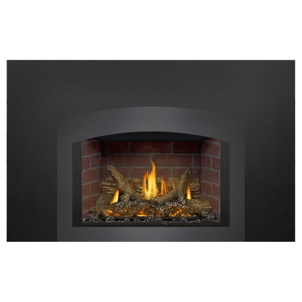 Napoleon GDIX3N-1 Oakville Series Electronic Ignition Direct Vent Gas Fireplace Insert