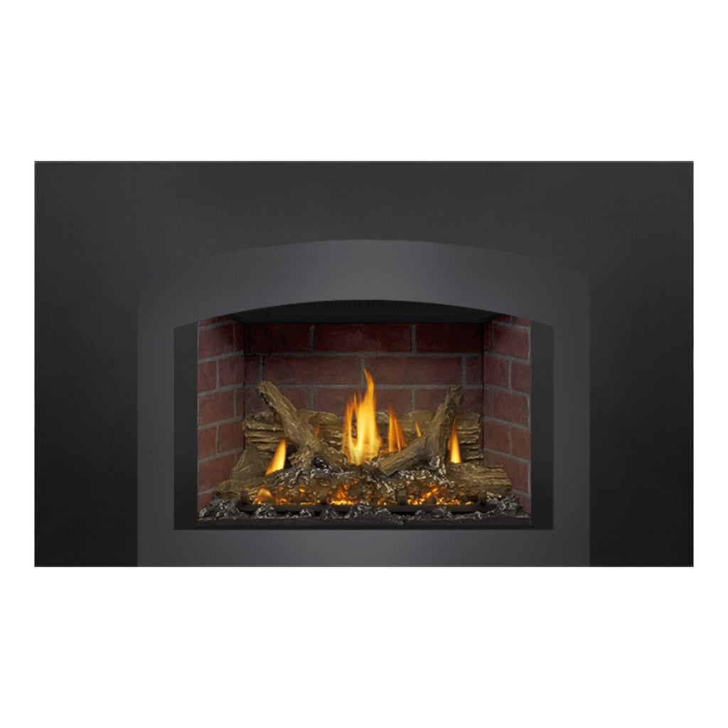 Napoleon GDIX3N-1 Oakville Series Electronic Ignition Direct Vent Gas Fireplace Insert
