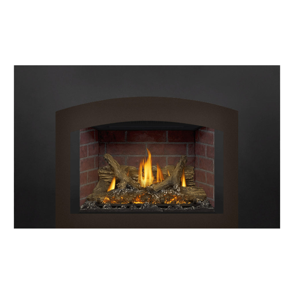 Napoleon GDIX3N-1 Oakville Series Electronic Ignition Direct Vent Gas Fireplace Insert