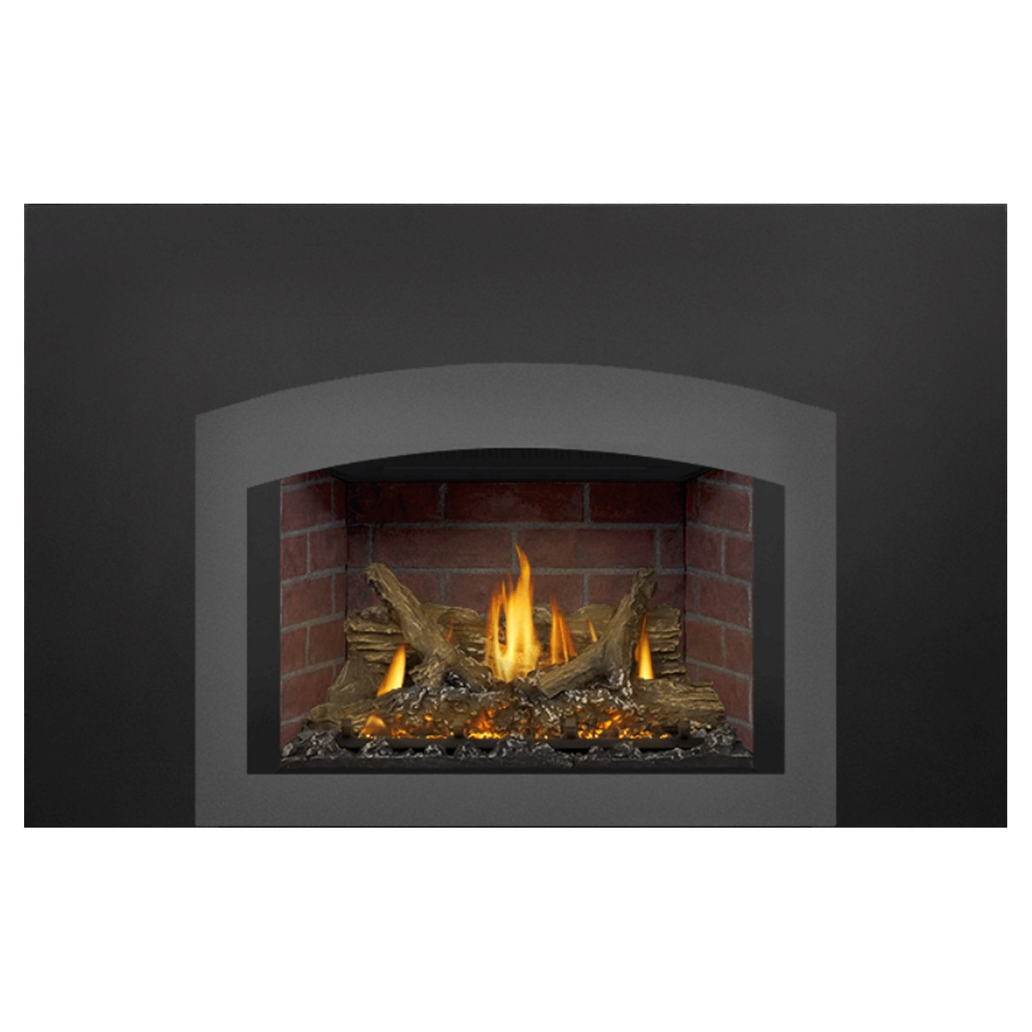 Napoleon GDIX3N-1 Oakville Series Electronic Ignition Direct Vent Gas Fireplace Insert
