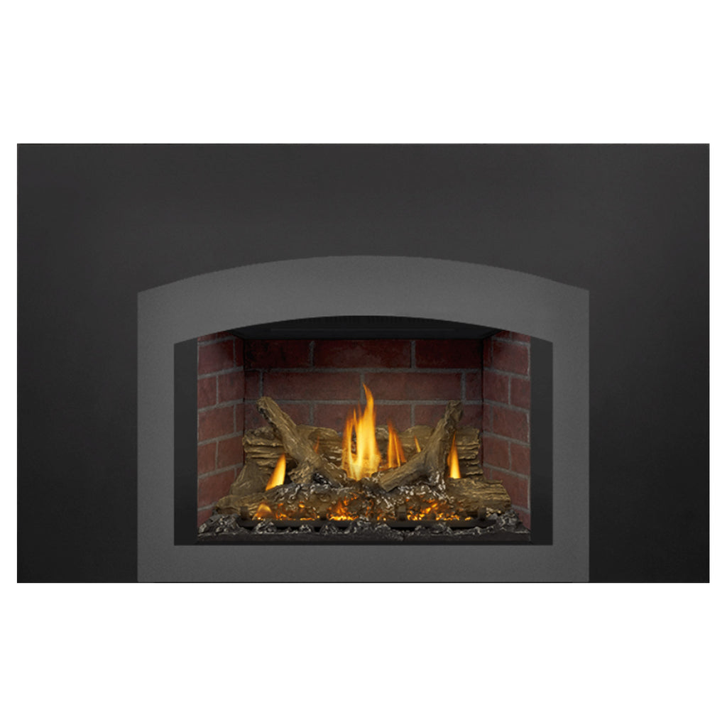 Napoleon GDIX3N-1 Oakville Series Electronic Ignition Direct Vent Gas Fireplace Insert