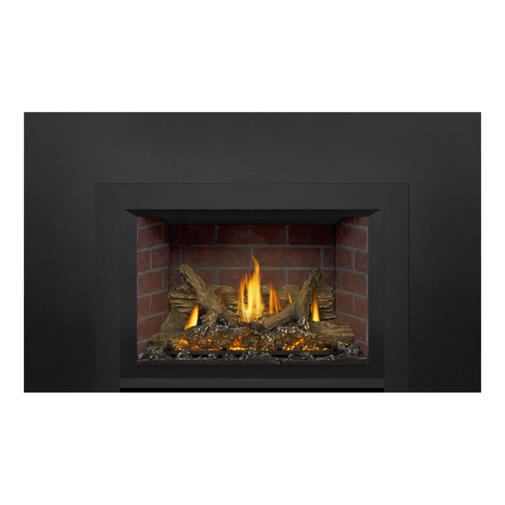 Napoleon GDIX3N-1 Oakville Series Electronic Ignition Direct Vent Gas Fireplace Insert