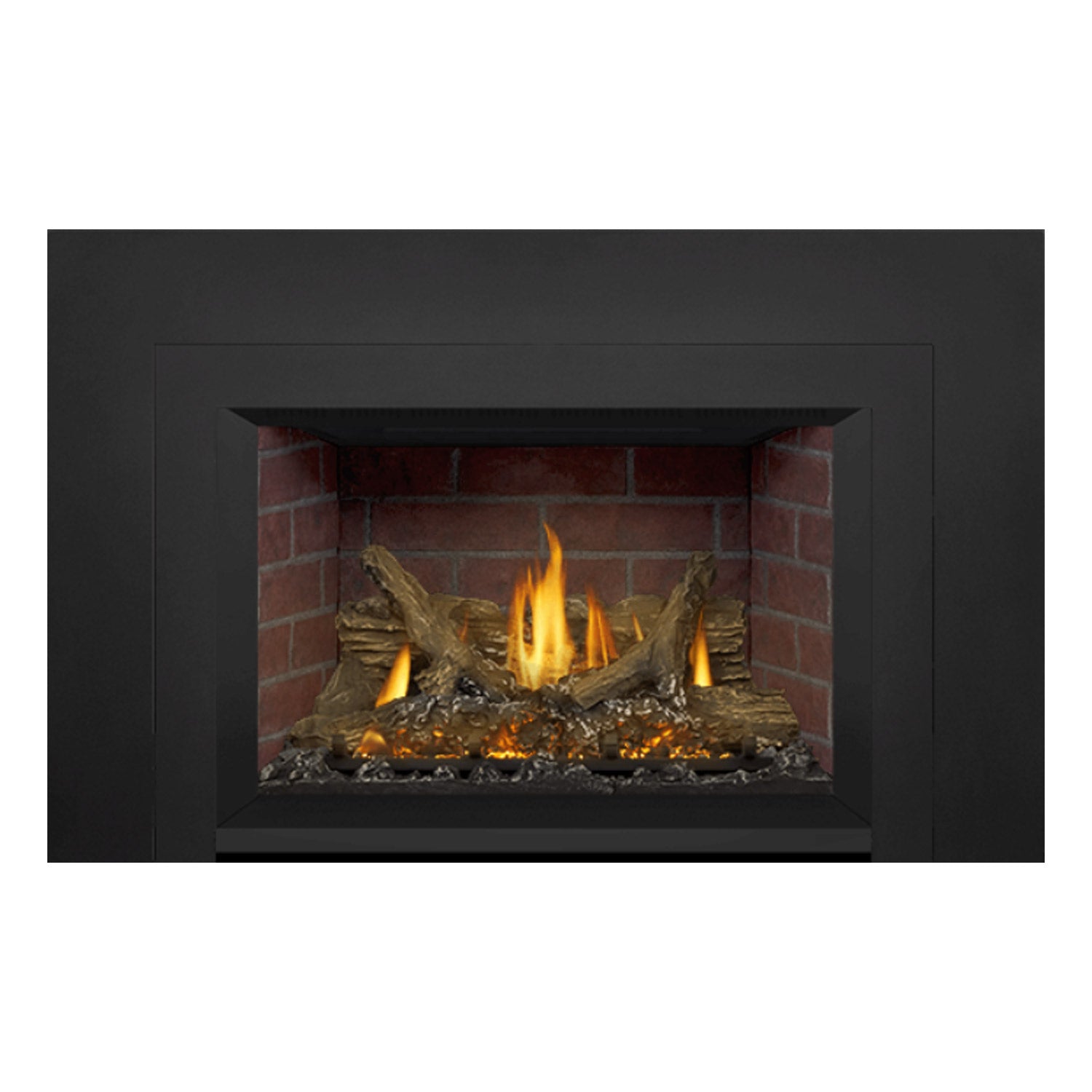Napoleon Oakville Series EI Direct Vent Gas Fireplace Insert